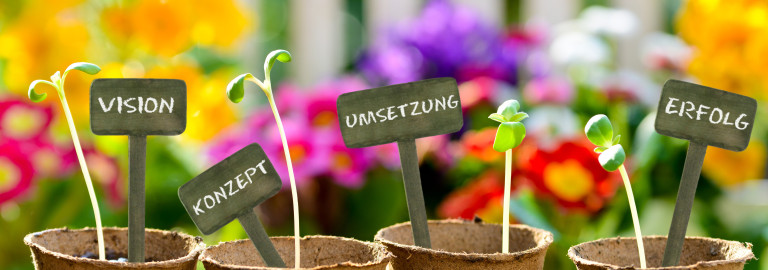Erfahrung und Kompetenz